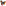 Egg Drop Soup