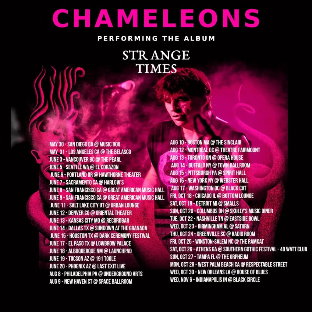 The Chameleons